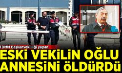 Eski vekilin oğlu annesini öldürdü
