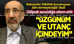 Dilipak: Üzgünüm ve utanç içindeyim