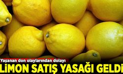 Limon ihracatı geçici olarak durduruldu