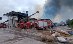 Sakarya'da fındık kırım fabrikasında çıkan yangına müdahale ediliyor