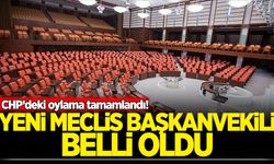 CHP'nin yeni meclis başkanvekili Tekin Bingöl seçildi
