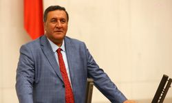 CHP'li Gürer, çocuklara yönelik gıda ürünlerinde Çin tuzunun yasaklanmasını istedi