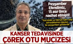Hz. Peygamber'in ümmete nasihati, bilime ışık oldu! 'Çörek otu kanser hücrelerini öldürüyor'