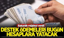 Bakanlık müjdeyi verdi! Destek ödemeleri bugün hesaplara yatacak