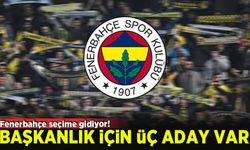 Fenerbahçe seçime gidiyor! Üç isim başkan adayı olacak