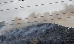 İzmir'de zeytinlik alanda çıkan yangın kontrol altına alındı