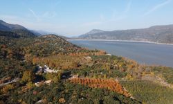 Isparta'da ormanlara giriş yasağı