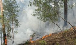 Antalya Kumluca'da çıkan orman yangını kontrol altına alındı