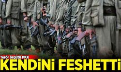 Terör örgütü PKK beklenen fesih kararını duyurdu