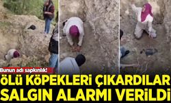 Bursa'da skandal olay: Cesetleri mezardan çıkarmaya çalıştılar bölgede salgın alarmı verildi