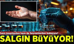 Salgın büyüyor: Hem insanlardan hem de hayvanlardan bulaşıyor