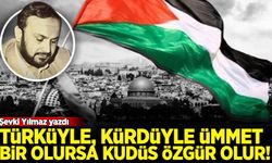 Şevki Yılmaz yazdı: Yolun ve bahtın açık olsun Türkiyem!