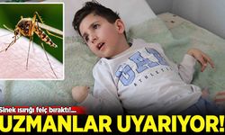Uyurken ısıran sivrisinek beyninde iltihaba neden oldu