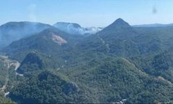 Marmaris'te orman yangını çıktı! Müdahale ediliyor