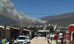 Hatay'da ormanlık alanda yangın çıktı