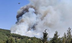 Balıkesir'de çıkan orman yangınına müdahale ediliyor