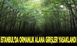 İstanbul'da ormanlık alana girişler yasaklandı