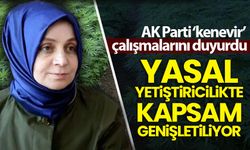 AK Parti 'kenevir' çalışmalarını duyurdu: Yasal yetiştiricilik genişletiliyor