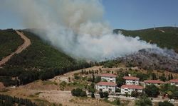 Kocaeli'de ağaçlık alanda yangın çıktı