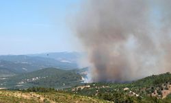 Manisa'da orman yangınına neden olan kişi tutuklandı