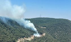 Manisa'da çıkan orman yangınına müdahale ediliyor