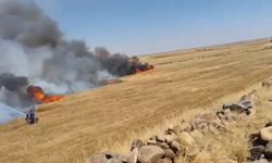 Şanlıurfa'da buğday tarlasında yangın çıktı