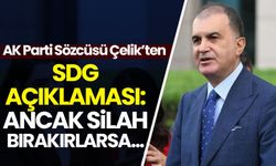 AK Parti Sözcüsü Çelik'ten SDG açıklaması