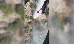 Antalya'da iki bölgede orman yangını çıktı