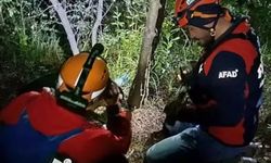yalova'da Kayıp vatandaş ormanda ölü bulundu