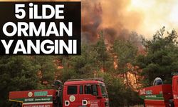 5 ilde orman yangını!