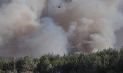 İzmir'in Buca ilçesinde orman yangınına neden olan 5 kişi adliyeye sevk edildi