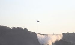 Çanakkale'deki yangına havadan ve karadan müdahale ediliyor