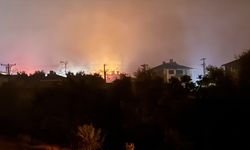 Sakarya'da ormanlık alanda çıkan yangına müdahale ediliyor