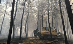 Antalya'da ormanlık alanlarda çıkan yangınlara müdahale ediliyor