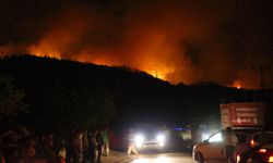 GÜNCELLEME - Hatay Dörtyol'da orman yangını çıktı