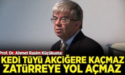 Prof. Dr. Ahmet Rasim Küçükusta: Kedi tüyü akciğere kaçmaz, zatürreye yol açmaz