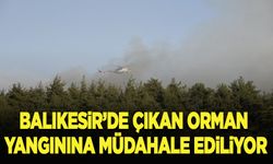 Balıkesir'de çıkan orman yangınına müdahale ediliyor