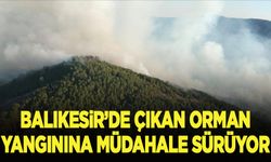 Balıkesir'de çıkan orman yangınına müdahale sürüyor