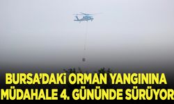 Bursa'daki orman yangınına müdahale 4. gününde sürüyor