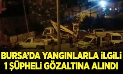 Bursa'da yangınlarla ilgili 1 şüpheli gözaltına alındı
