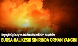 Bursa-Balıkesir sınırında orman yangınına müdahale sürüyor