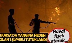 Bursa'da havai fişek atarak yangına neden olan 1 şüpheli tutuklandı