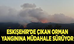 Eskişehir'de ormanlık alanda çıkan yangına müdahale sürüyor