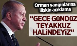 Cumhurbaşkanı Erdoğan'dan orman yangınlarına ilişkin açıklama