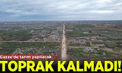 BM Gıda ve Tarım Örgütü: Gazze'de sadece yüzde 4,6'lık bir alanda tarım yapılabilir!