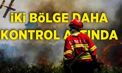 Bakan Yumaklı duyurdu: 2 bölgede daha yangın kontrol altına alındı