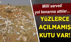 Milli Servet Çöpe Atıldı! Yol Kenarında Kutular Dolusu İlaç ve Şırınga