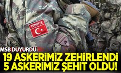 MSB duyurdu: 19 askerimiz zehirlendi, 5'i şehit oldu