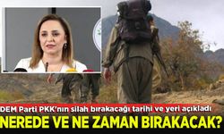 DEM Parti PKK'nın silah bırakacağı tarihi ve yeri açıkladı