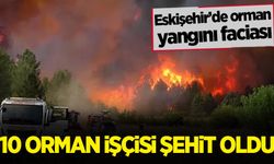 Eskişehir'de orman yangını faciası: 10 orman işçisi şehit oldu